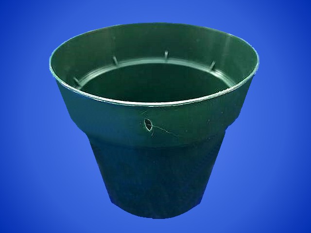 Special – 3" Green Pot - Click Image to Close